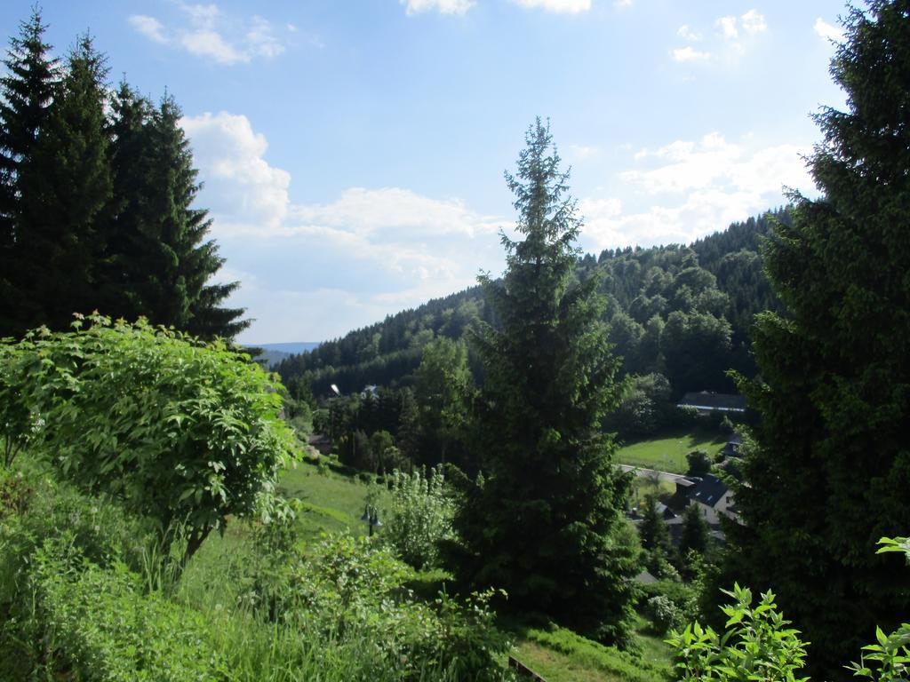 Greizer Kammhuette Gaststaette & Pension Klingenthal Exterior photo